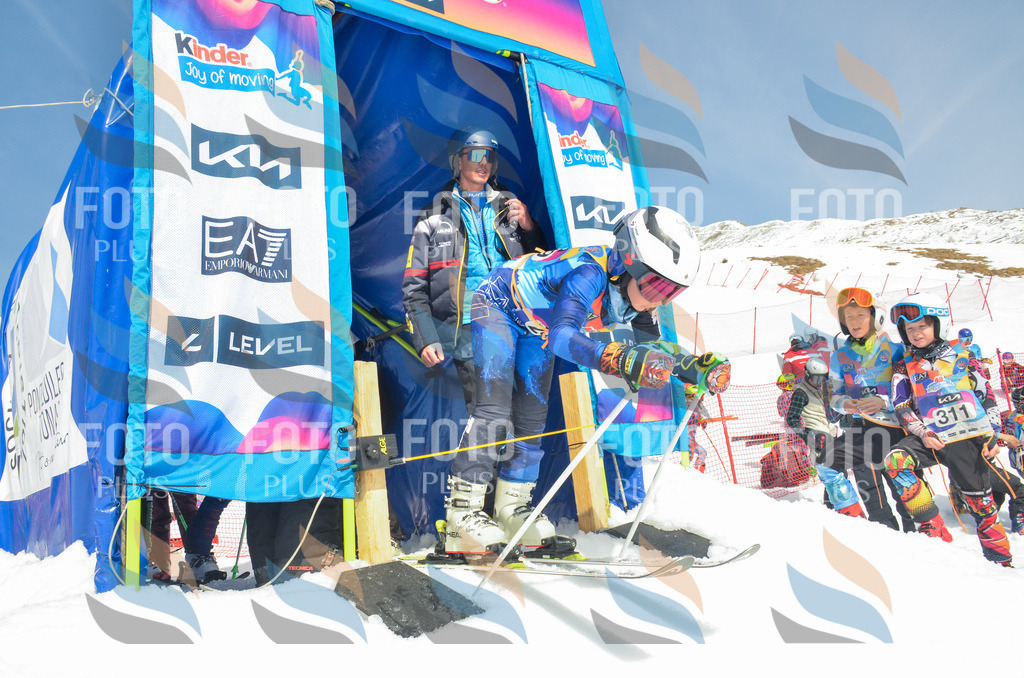 _ELE7019 | holidayphoto