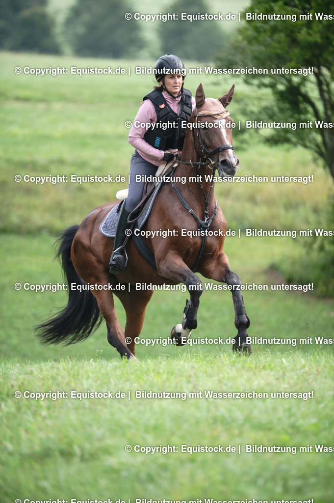 20250726_Vielseitigkeitslehrgang-Marbach_0089 | Foto: Thomas Hartig