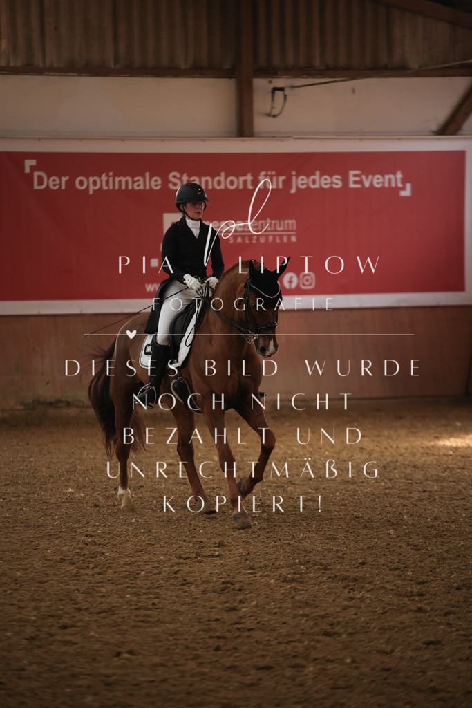 IMGT4805 | pl-fotografie