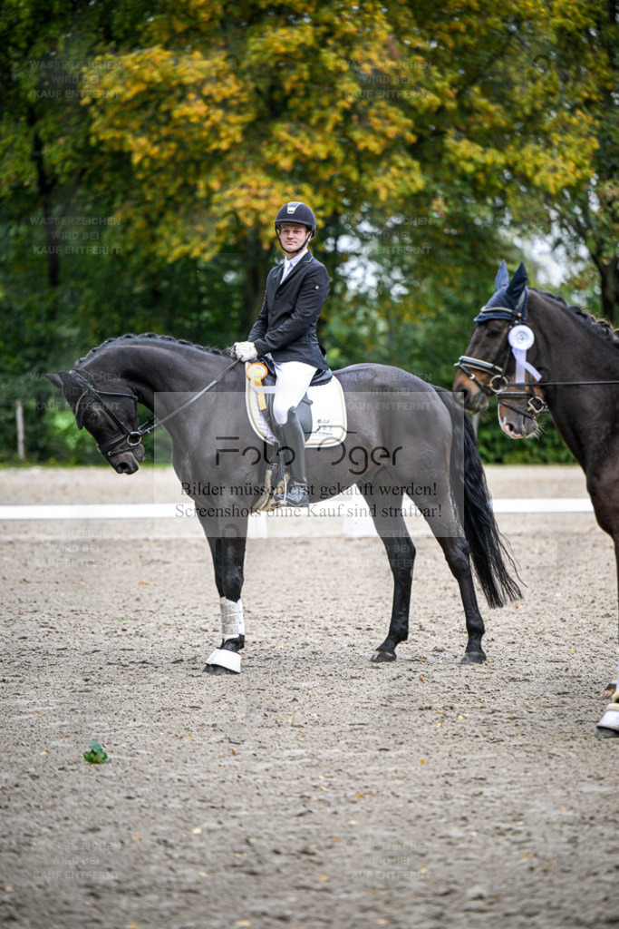 FOTO OGER | Entdecke hochwertige Reitturnierfotos von Foto Oger. Professionell, emotional und authentisch – jetzt Lieblingsmomente im Shop bestellen. - Realisiert mit Pictrs.com