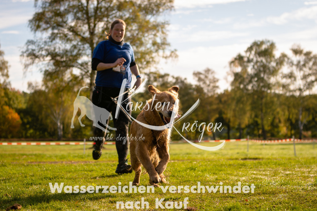 1010STR_2106 | kk-dogfotos