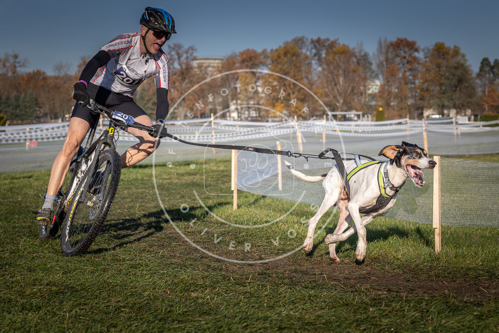 CaniXpix_0L8A4459 | Hundefotografie, Tierfotograf, Pfotenfotografie, Fotoshooting Hund, Hunde Portrait, Hundesport, Hundeportraits, Heideshooting, Hunde, Sportfotograf, Hundefotograf, Turnierhundsport, THS,  - Realisiert mit Pictrs.com