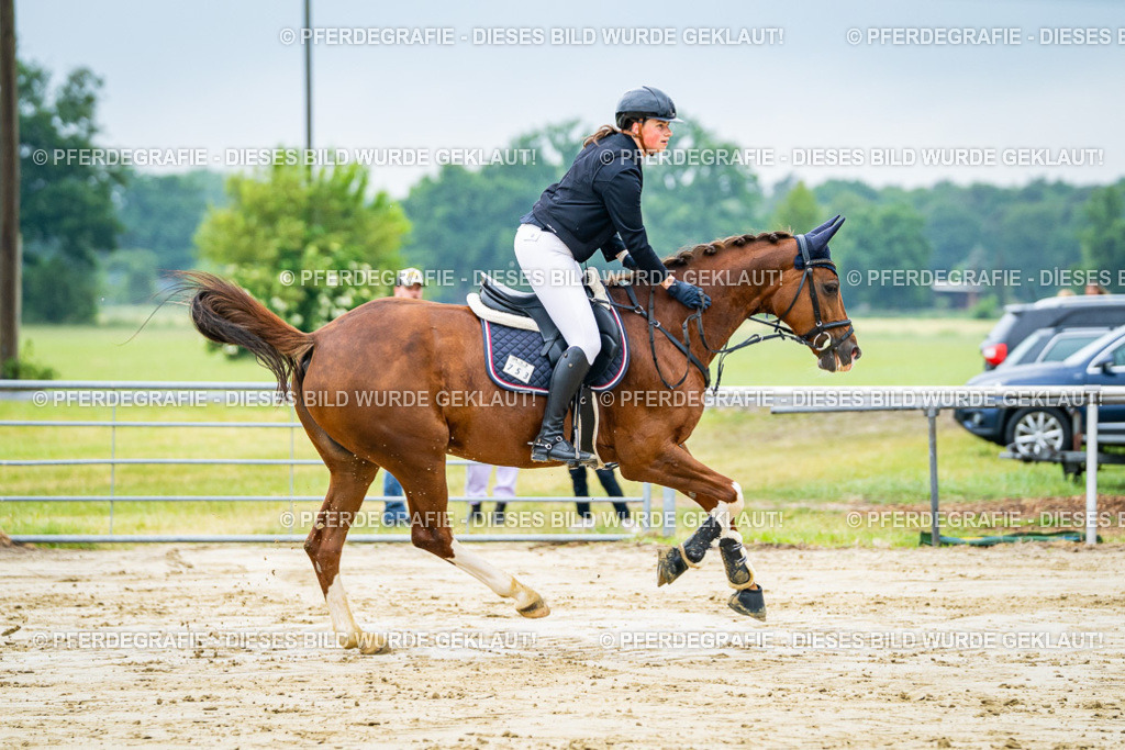 DSC02464 | Pferdegrafie