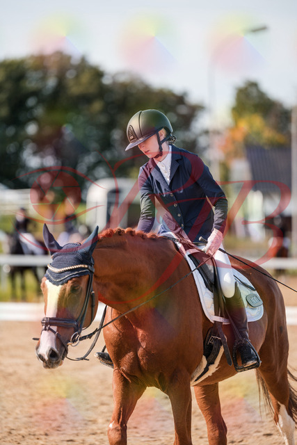 2026_10_03_Siefer-Hof_123812_Z63_56067806 | Professionelle Reitsport-, Turnier- und Eventfotografie von Robert Broda. Galerien mit ausgewählten und bearbeiteten Bildern direkt online ansehen und bestellen.