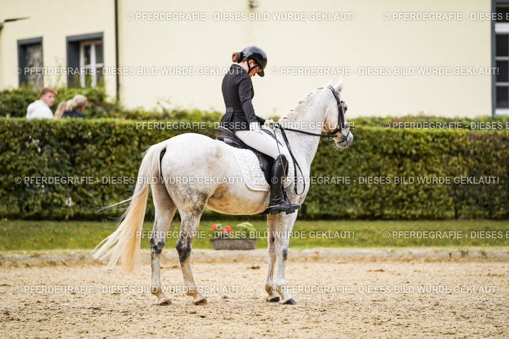 DSC07700 | Pferdegrafie