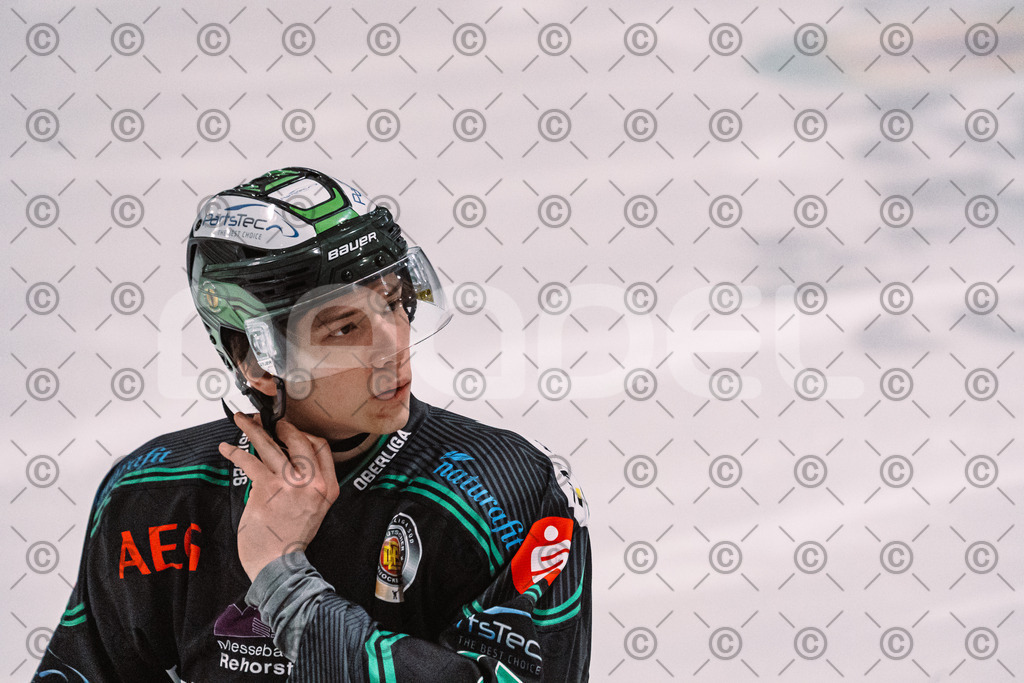 Alligators_vs_Heilbronn_08_02_2026-02 | Höchstadt Alligators Fotogalerie: Eishockey-Action aus Franken. Professionelle Spielfotos, Portraits & Stadionbilder zum Download. Jetzt entdecken! - Realisiert mit Pictrs.com