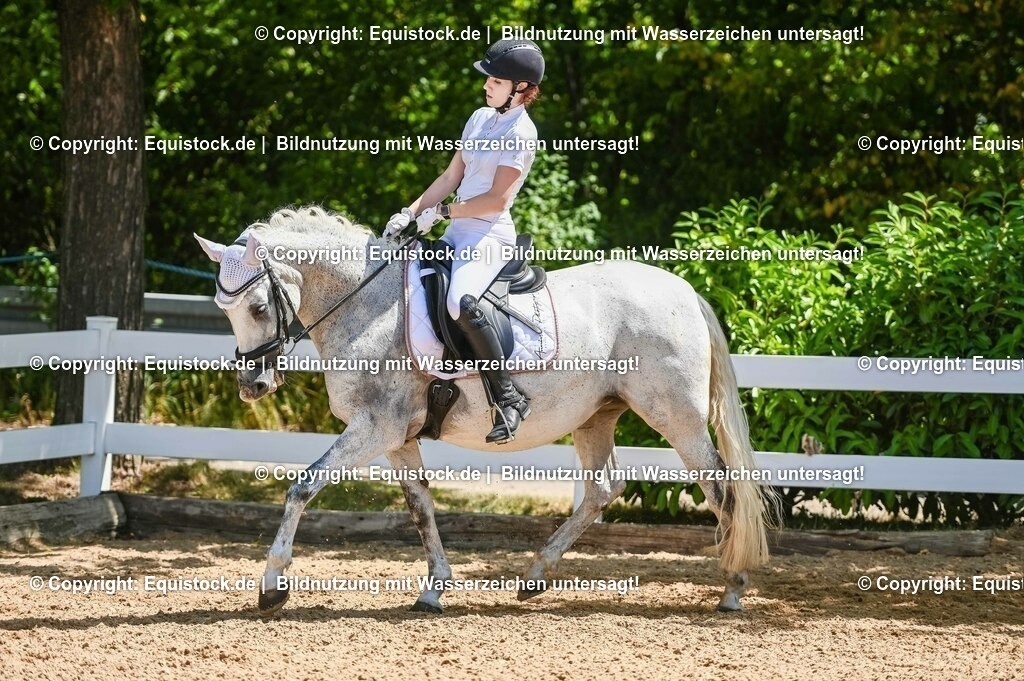 20230715_09_Dressur-WB_0324 | equistock