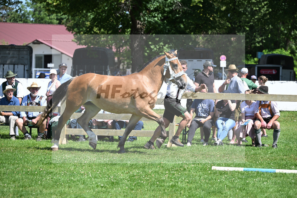Kat-Nr. 30 Theresia v. Vilstal_Egger_18250554 | hf-fotografie - Realizzato con Pictrs.com