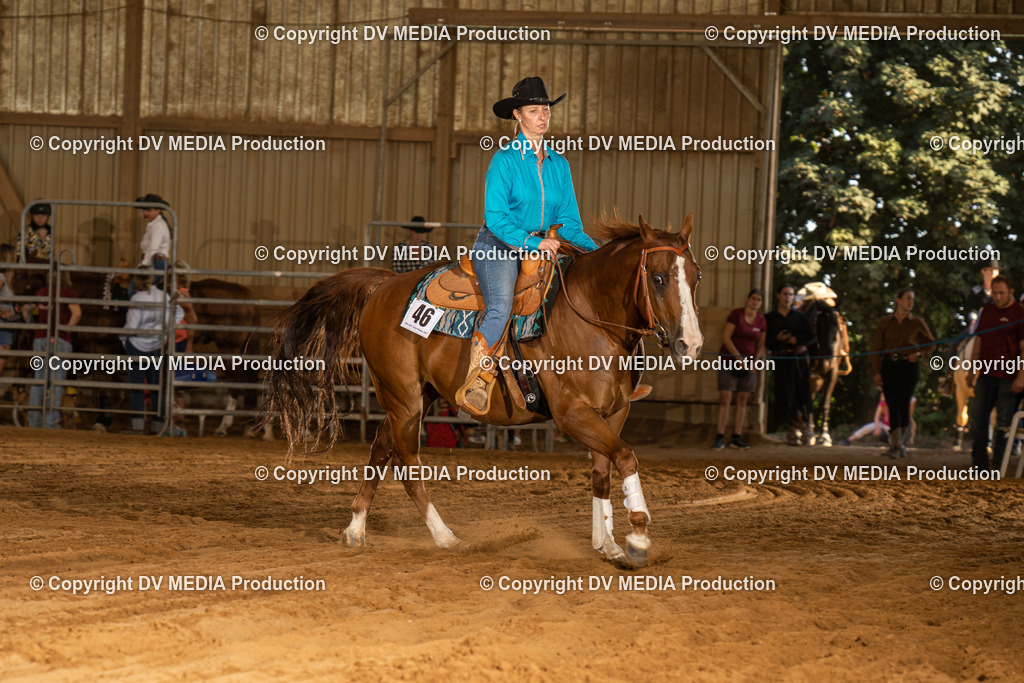 NID03877 | dv-media-shop - Realisiert mit Pictrs.com