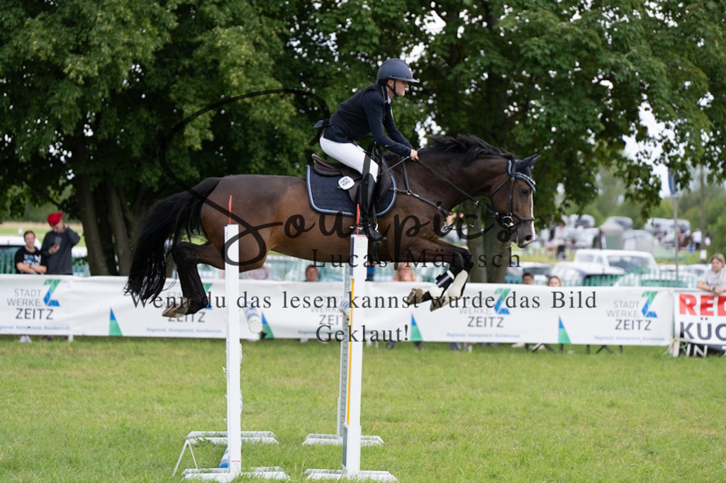 A7V04761 | Pferdefotograf