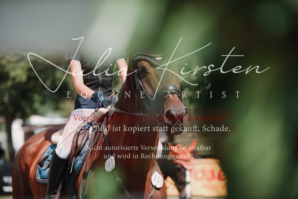 DSC_5705 | Pferde- und Turnierfotografie in Westsachsen. Pferdeportraits, Auftragszeichnungen und intuitive Kunst.