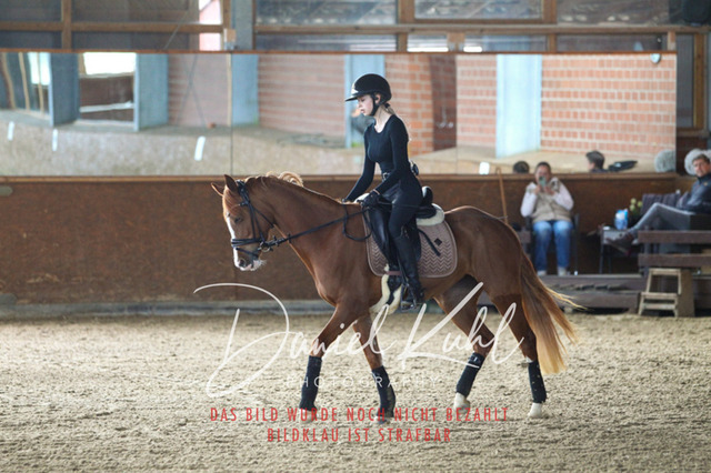 DKP42588 | Turniersportfotografie; Pferdefotografie; Dressurfotografie