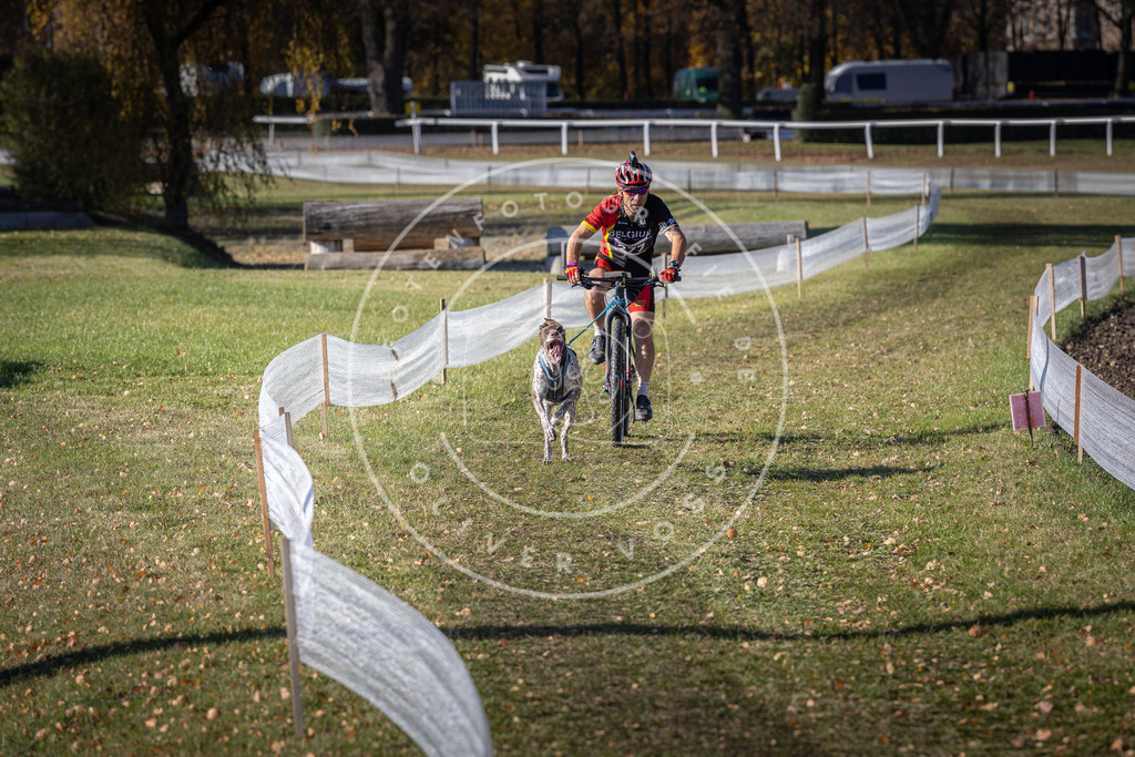CaniXpix_DV3A5393 | Hundefotografie, Tierfotograf, Pfotenfotografie, Fotoshooting Hund, Hunde Portrait, Hundesport, Hundeportraits, Heideshooting, Hunde, Sportfotograf, Hundefotograf, Turnierhundsport, THS,  - Realisiert mit Pictrs.com