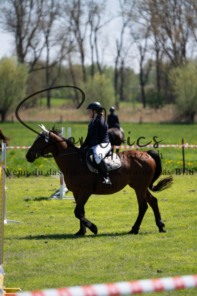 A7V01078 | Pferdefotograf