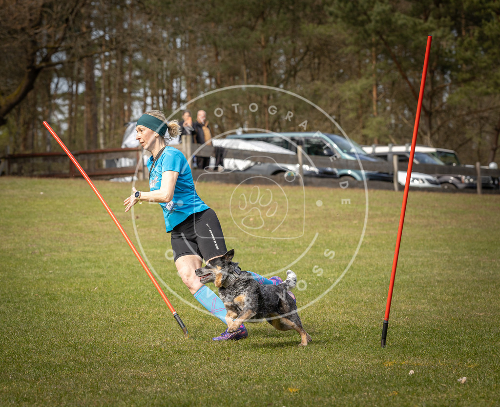 Pfotenfotografie_DV3A7586 | Hundefotografie, Tierfotograf, Pfotenfotografie, Fotoshooting Hund, Hunde Portrait, Hundesport, Hundeportraits, Heideshooting, Hunde, Sportfotograf, Hundefotograf, Turnierhundsport, THS,  - Realisiert mit Pictrs.com