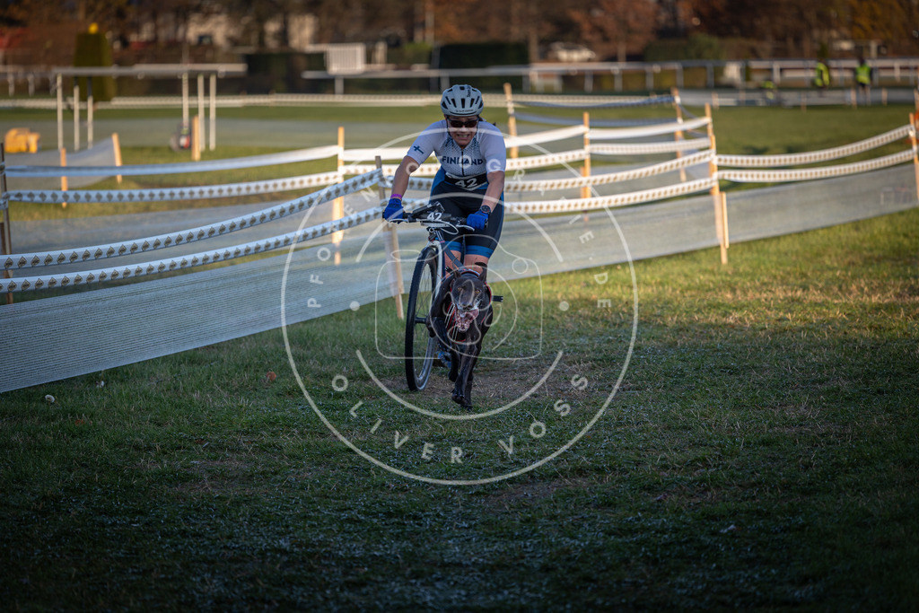 CaniXpix_0L8A2429 | Hundefotografie, Tierfotograf, Pfotenfotografie, Fotoshooting Hund, Hunde Portrait, Hundesport, Hundeportraits, Heideshooting, Hunde, Sportfotograf, Hundefotograf, Turnierhundsport, THS,  - Realisiert mit Pictrs.com