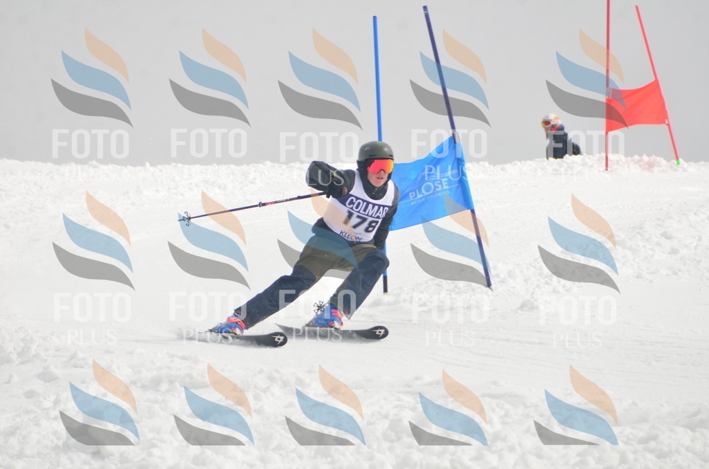 A5645 | holidayphoto