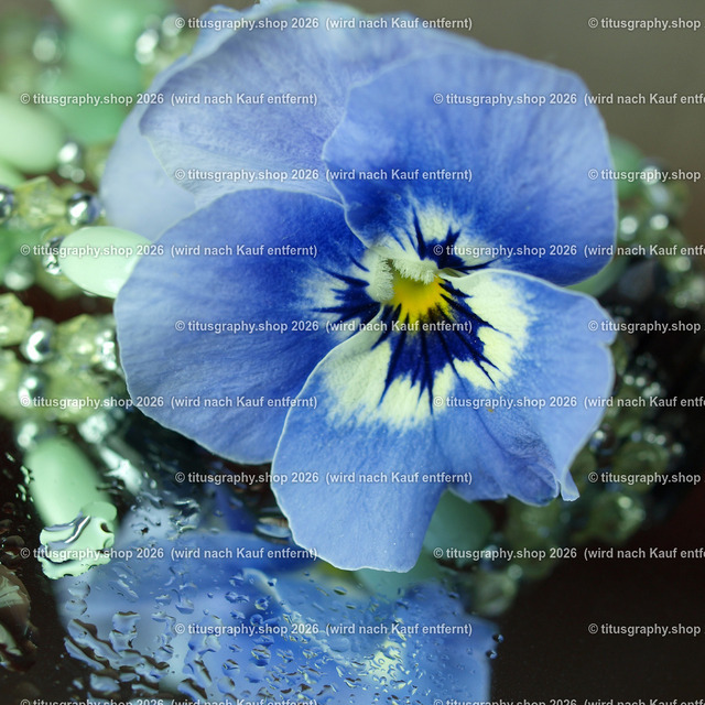 P4276068_edited | Fotokunstarbeit aus der INSTAGRAM-Gallerie auf titusgraphy.eu - Realisiert mit Pictrs.com