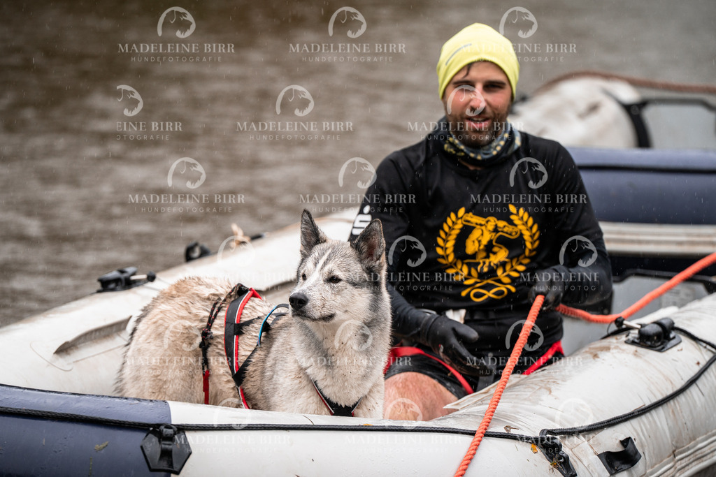 madeleinebirr-fotografie2025.campcanis.11-12Uhr-313 | hundefotografie-birr