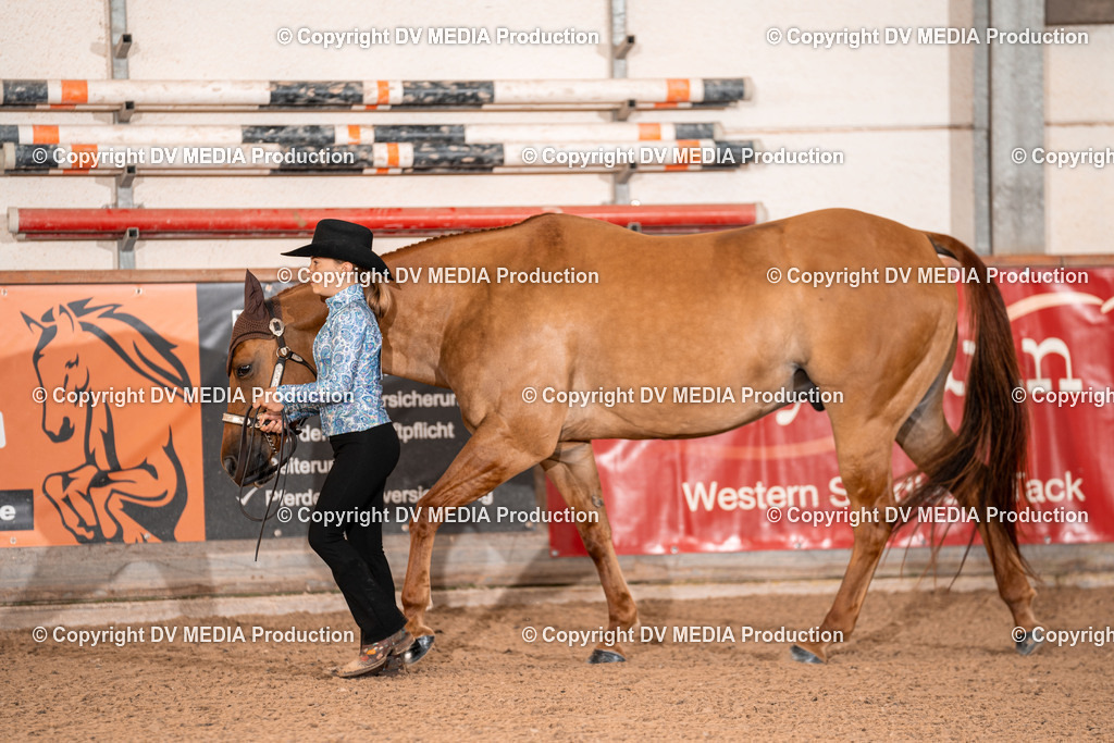 LM Heiligenwald Tag 1-32 | dv-media-shop - Realisiert mit Pictrs.com