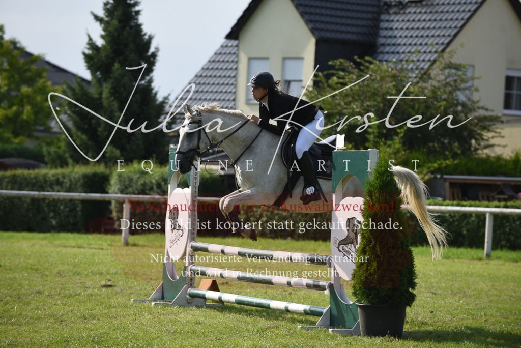 DSC_8901 | Pferde- und Turnierfotografie in Westsachsen. Pferdeportraits, Auftragszeichnungen und intuitive Kunst.