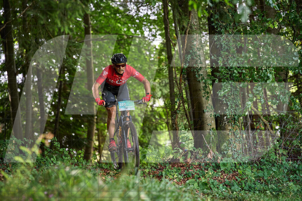 Betriebszentrum Laubenbachmühle, Frankenfels, Österreich - 13. September 2025: Dirndltal Race - Fun und Trophy RaceFotograf: Martin Bihounek / martinbihounek.com | 13. September 2025 Betriebszentrum Laubenbachmühle, Frankenfels, Österreich : Dirndltal Race - Fun und Trophy Race •••••Photo by: Martin Bihounek / martinbihounek.comInsta: @martinbihounekcom