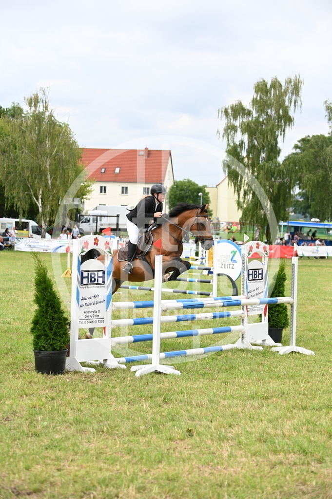 DSC_1603 | sattelsport - Realisiert mit Pictrs.com