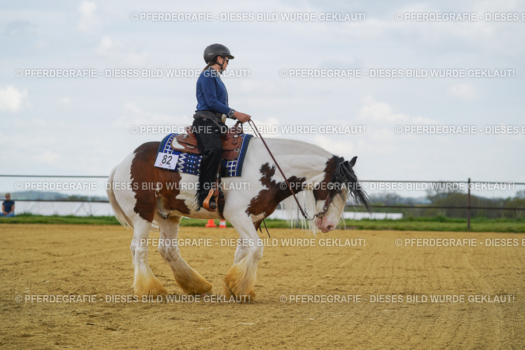 DSC05949 | Pferdegrafie