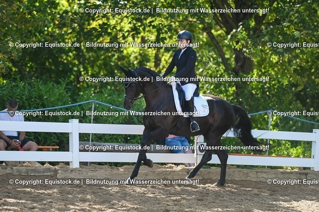 20230715_06_Dressurpferdeprfg. Kl.A_0343 | equistock