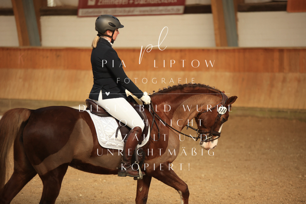 IMGT4321 | pl-fotografie