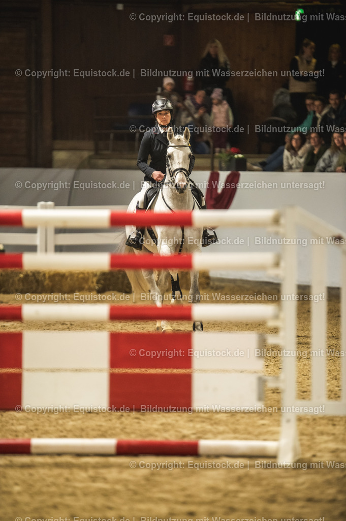 20240302_Hengstvorstellung_Marbach_TOMsPiC_1408 | equistock
