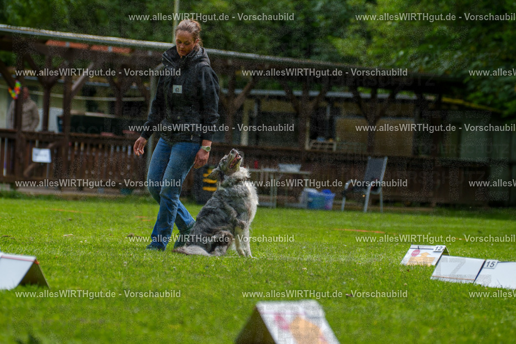 @allesWIRTHgut_Tierfotografie - www.allesWIRTHgut.de - 7R502084 | Professionelle Tierfotografie in Mönchengladbach von Daniel Wirth (allesWIRTHgut). Liebevolle & natürliche Bilder von Hunden & Katzen für unvergessliche Erinnerungen.