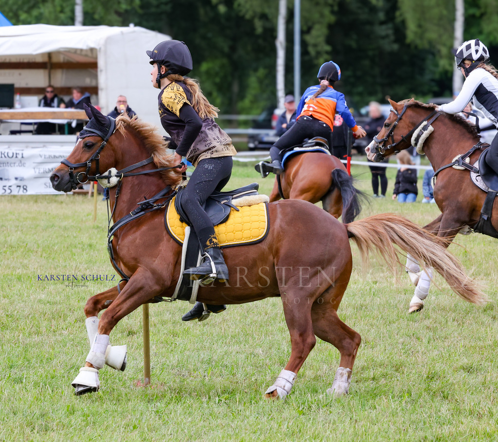 1B3A1011 | Reitsport Reiten