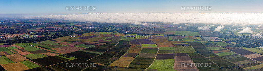 Panorama Tiefen-Tal | Luftbild: Panorama Tiefen-Tal in Billigheim-Ingenheim im Bundesland Rheinland-Pfalz in Deutschland. Foto: IMG_143543-Pano.jpg vom 29.09.2024 durch ©2025 Werner Riehm fly-foto.de/copyright - Realisiert mit Pictrs.com