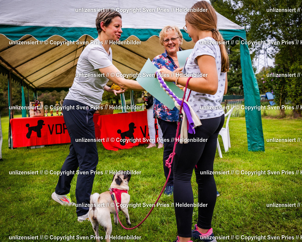 Sven Pries | 2024-09-22 - Hunderennen Baden-BadenPudelverein - Realisiert mit Pictrs.com