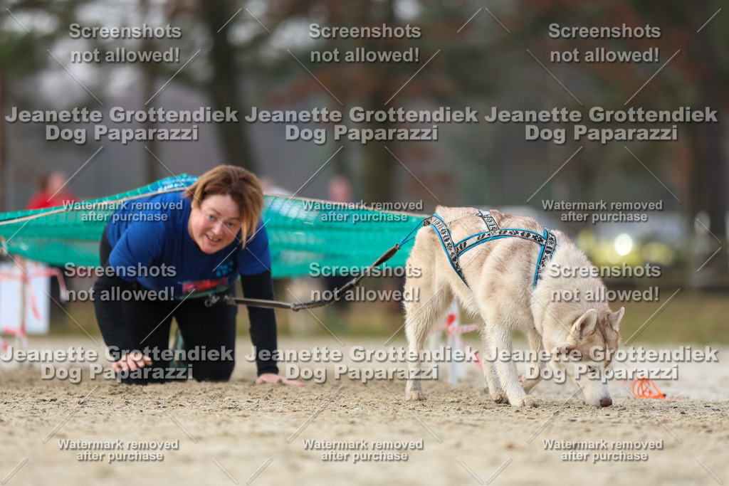 Dog Paparazzi - Strongdog North Mrz26-4395 | Dog Paparazzi Jeanette Grottendiek Fotografie & Videografie - Realisiert mit Pictrs.com
