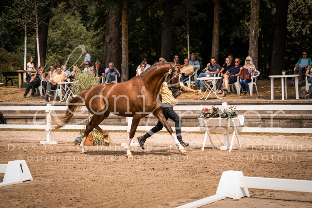 2. Fr00005 | Leoni Ertmer Photography - Realisiert mit Pictrs.com