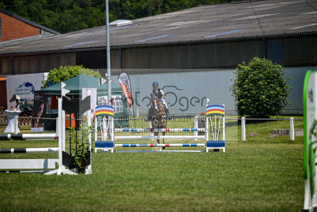 Reitturnier Voxtrup | Entdecke hochwertige Reitturnierfotos von Foto Oger. Professionell, emotional und authentisch – jetzt Lieblingsmomente im Shop bestellen. - Realisiert mit Pictrs.com