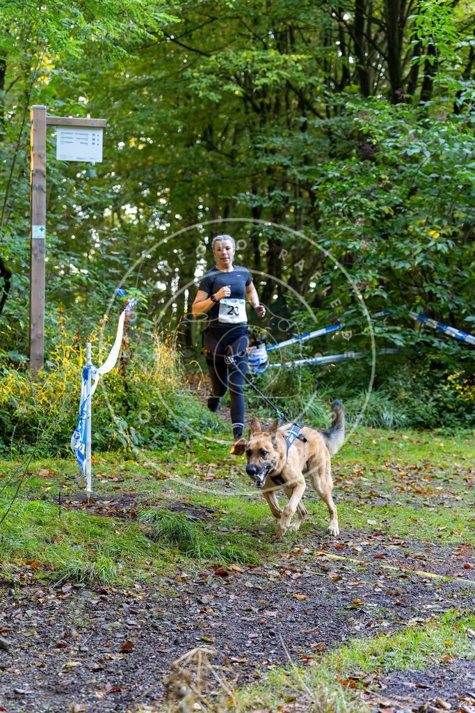 Pfotenfotografie_DV3A6515 | Hundefotografie, Tierfotograf, Pfotenfotografie, Fotoshooting Hund, Hunde Portrait, Hundesport, Hundeportraits, Heideshooting, Hunde, Sportfotograf, Hundefotograf, Turnierhundsport, THS,  - Realisiert mit Pictrs.com