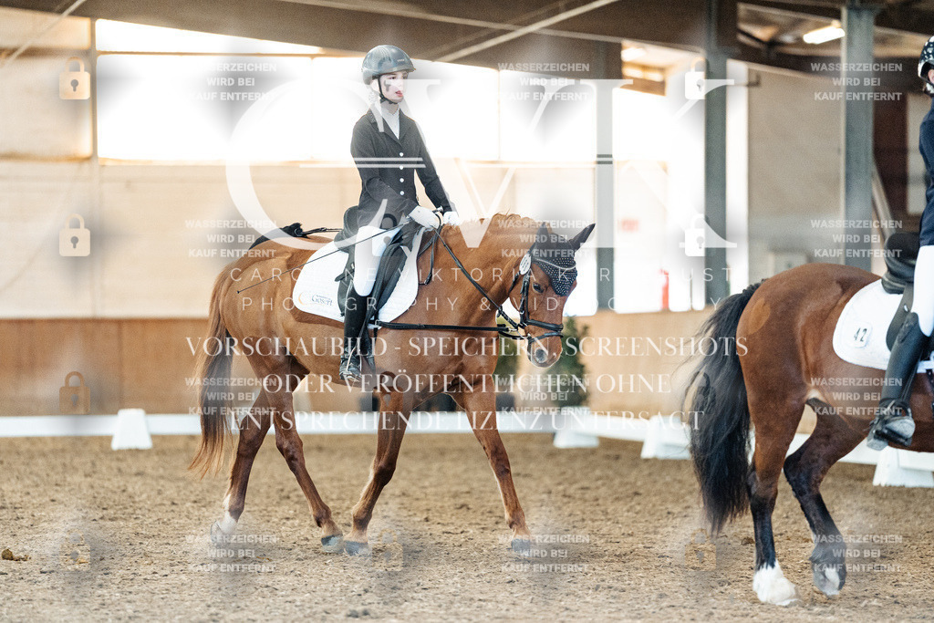 CK907843 | Turnierfotografie Pferdefotografie Trier Rheinland-Pfalz Pferdesport Reitsport Tierfotografie Sportfotografie Pferdevideo Pferdevideografie Equestrianvideography equestrianphotography  - Realisiert mit Pictrs.com