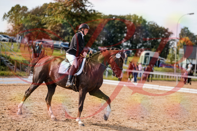 2026_10_03_Siefer-Hof_132348_Z63_85740830 | Professionelle Reitsport-, Turnier- und Eventfotografie von Robert Broda. Galerien mit ausgewählten und bearbeiteten Bildern direkt online ansehen und bestellen.