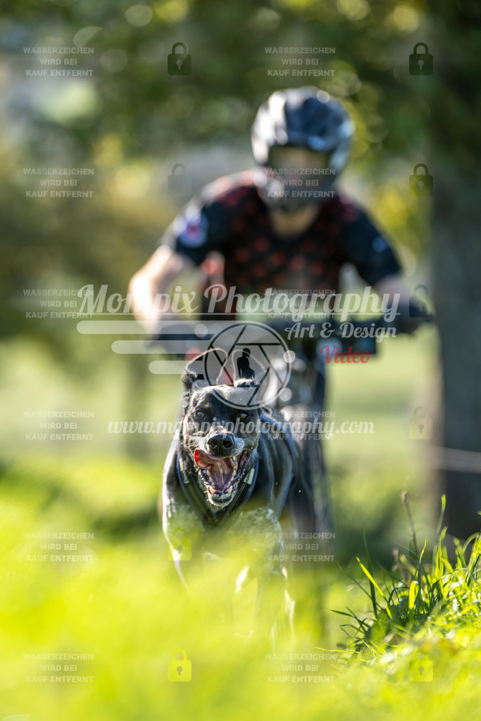 MompixPhotography_20TSB_E3_DS1-78 | PayLife