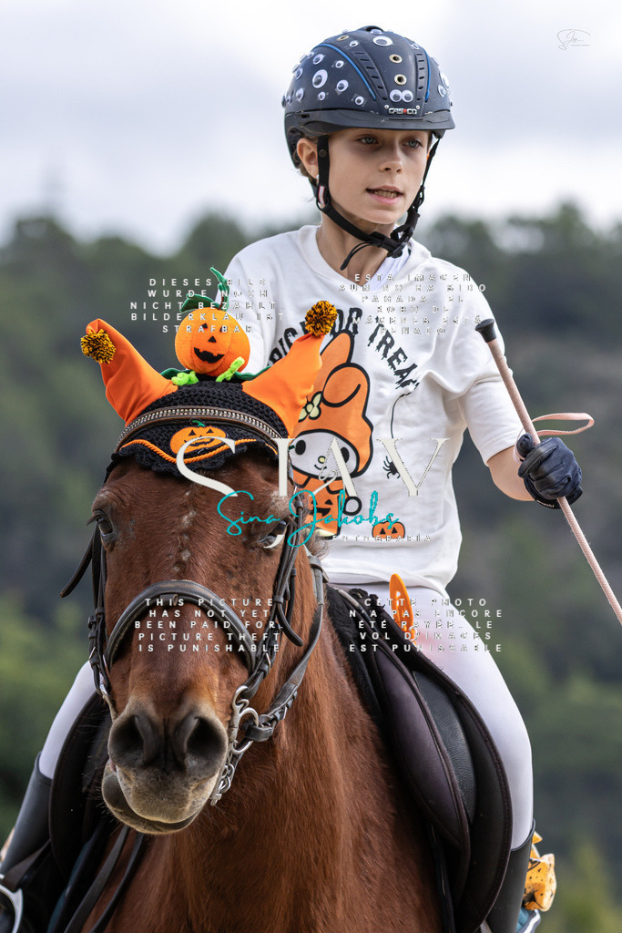 IMG_2330 | s-jay-photography - Realisiert mit Pictrs.com