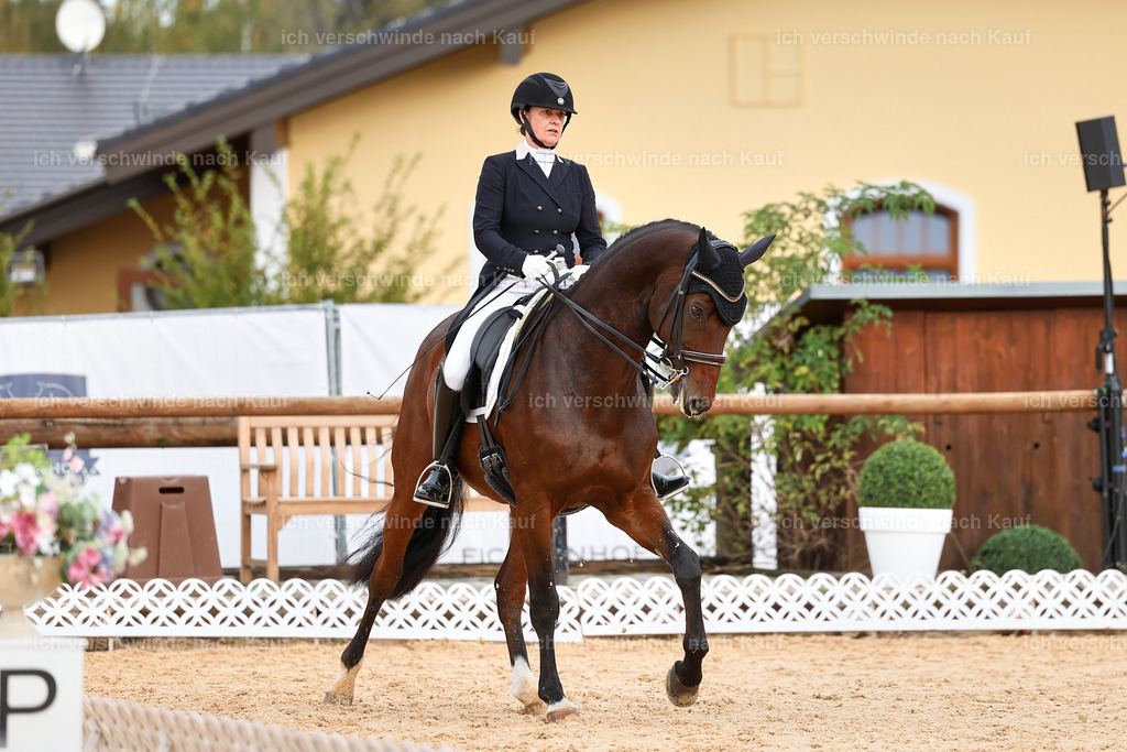 6-174-AMATUER-DRESSUR S_  -StoibPH-3485 | working equitationturnier fotograf videograf stoibphotography marixx film working equitation deutschland reitsport turnierfotografie eventfotografie equestrian events