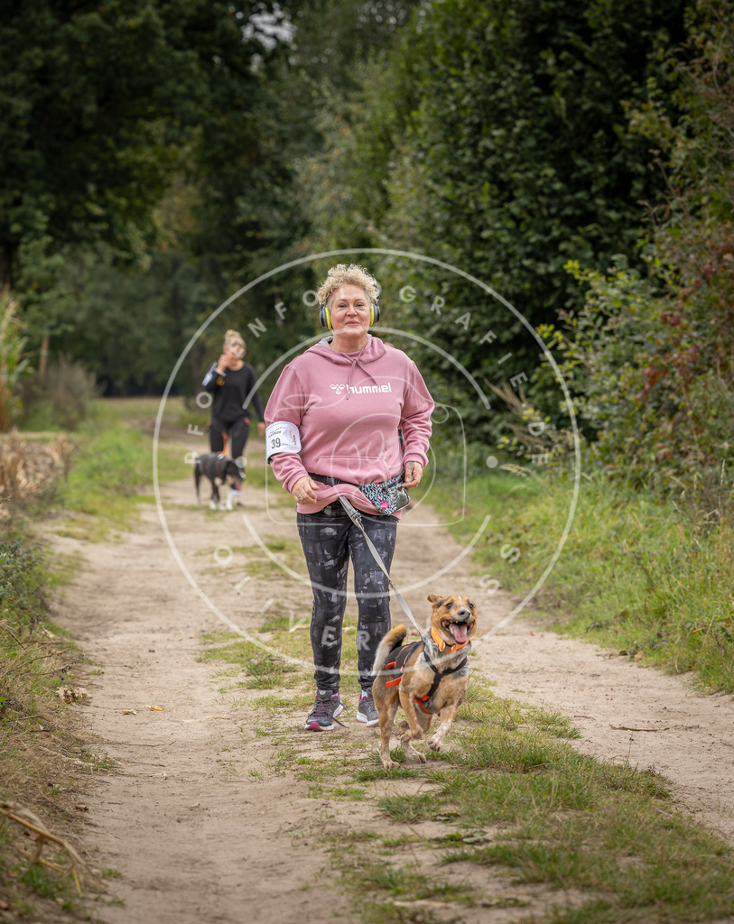 Pfotenfotografie_DV3A6309 | Hundefotografie, Tierfotograf, Pfotenfotografie, Fotoshooting Hund, Hunde Portrait, Hundesport, Hundeportraits, Heideshooting, Hunde, Sportfotograf, Hundefotograf, Turnierhundsport, THS,  - Realisiert mit Pictrs.com