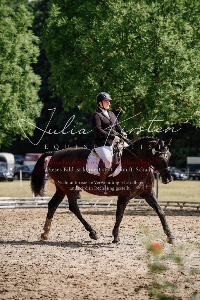DSC_0248 | Pferde- und Turnierfotografie in Westsachsen. Pferdeportraits, Auftragszeichnungen und intuitive Kunst.