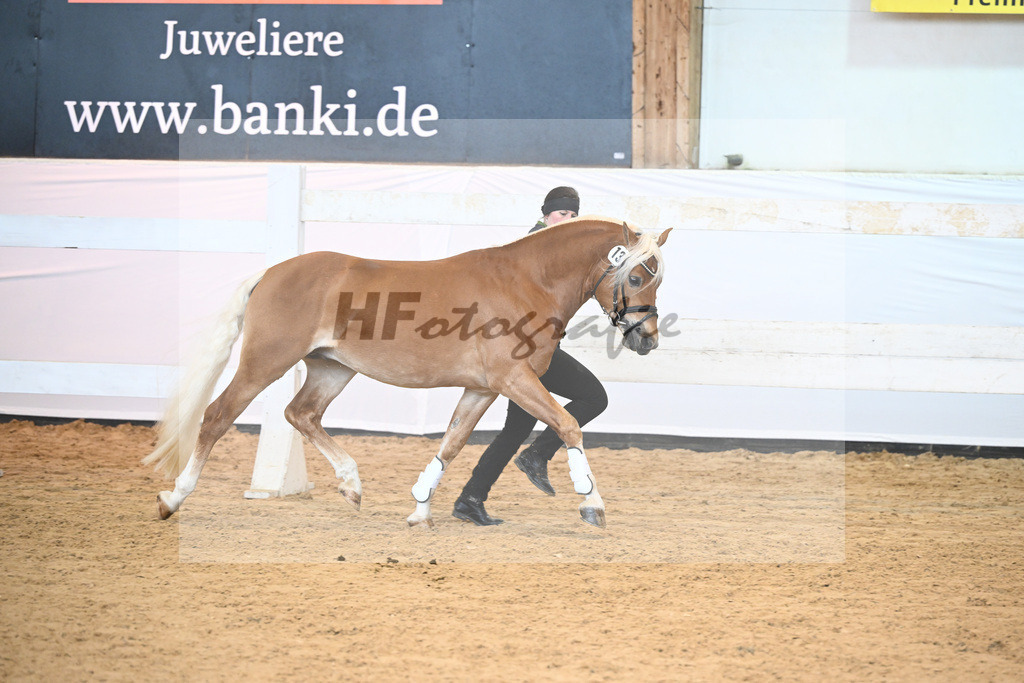 Kat-Nr. 13 Akino v. Akitano_Bleicher_6240253 | hf-fotografie - Realisiert mit Pictrs.com