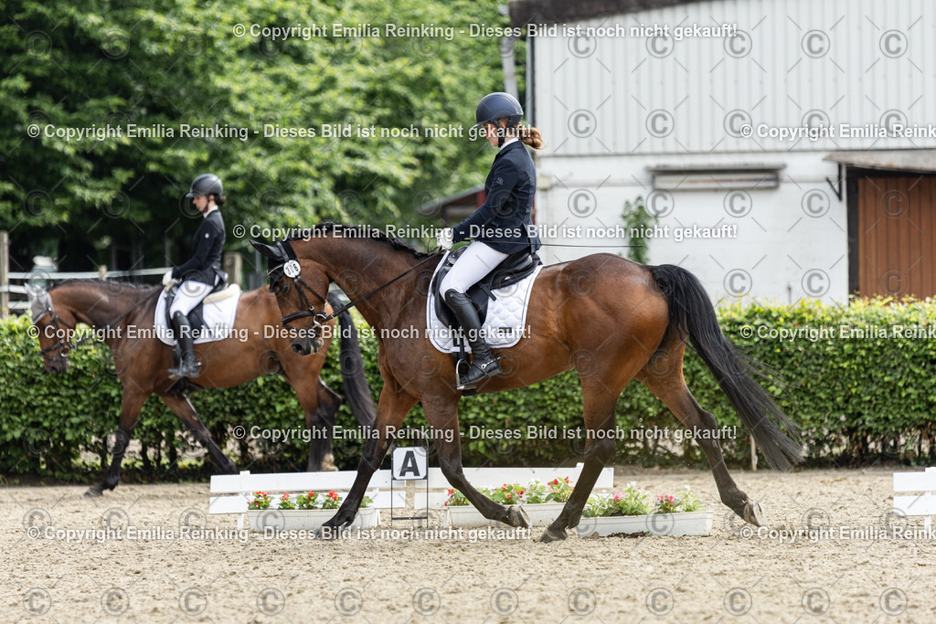 CL5A6850 | Emilia Reinking Fotografie - Realisiert mit Pictrs.com