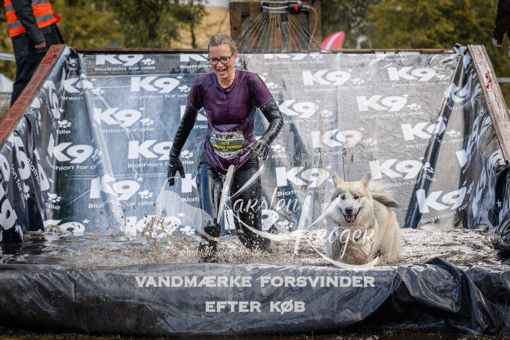 1529_ZZ94699 | kk-dogfotos