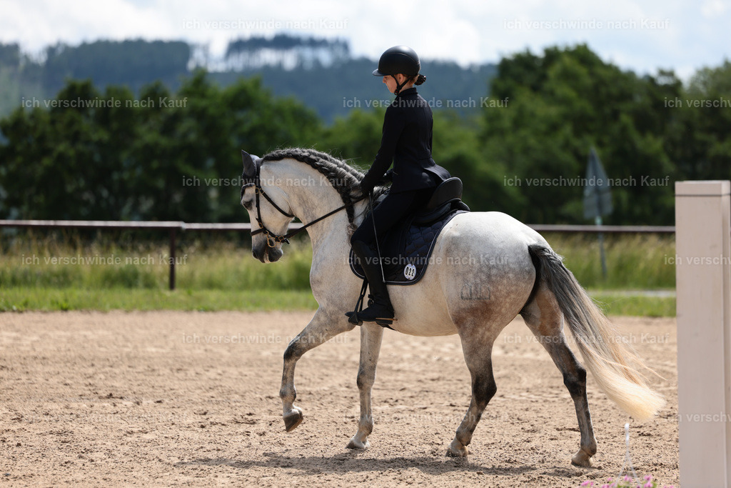 KlasseA_Stoibphotography_C2_L5727.JPG | working equitationturnier fotograf videograf stoibphotography marixx film working equitation deutschland reitsport turnierfotografie eventfotografie equestrian events
